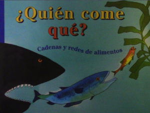 Ocean Food Webs