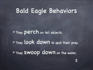 Behavior Adaptations