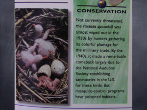 Conservation Status