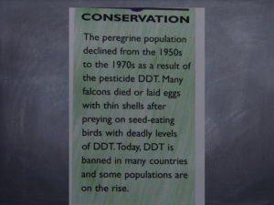 Conservation Status