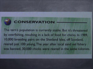 Conservation Status