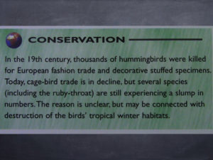 Conservation Status