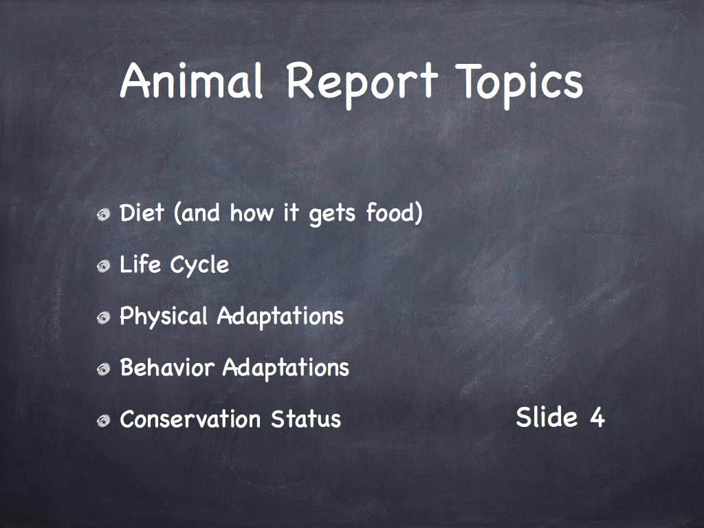 Ramp - Episode and Up RUE Birds English 72 your Interrogatives