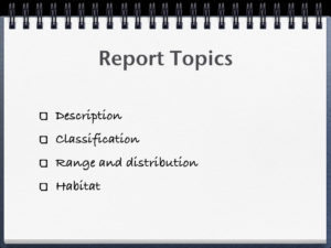 Animal Report