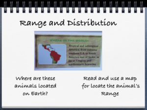 Range and Distribution